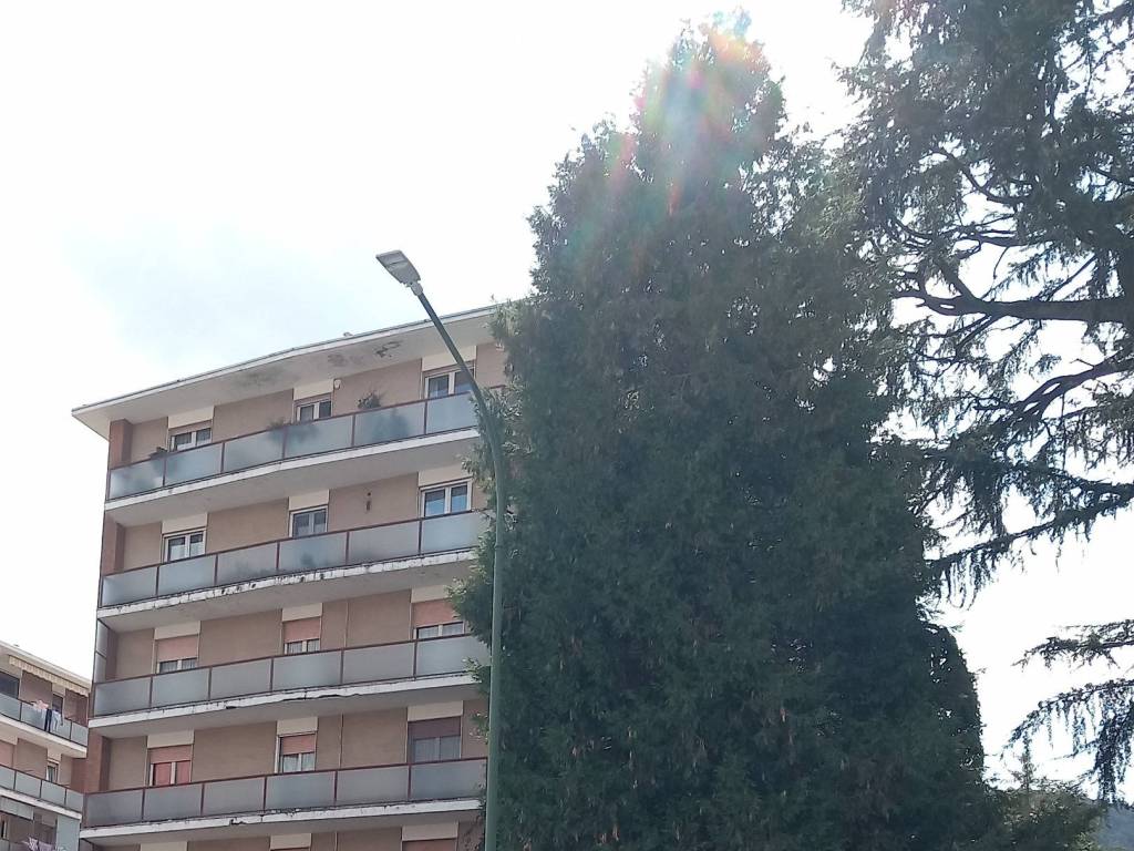 Appartamento a Borgosesia in Via Vittorio Veneto, 56 - Foto 4