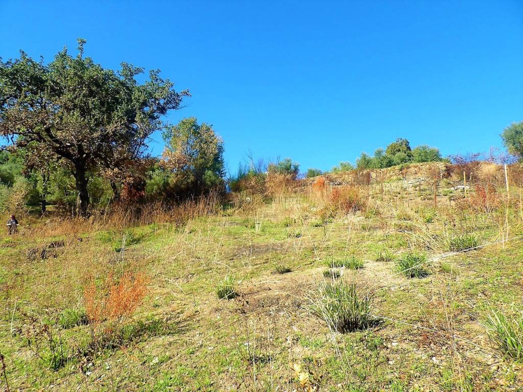 Terreno a Minturno in Pulcherini - Foto 2