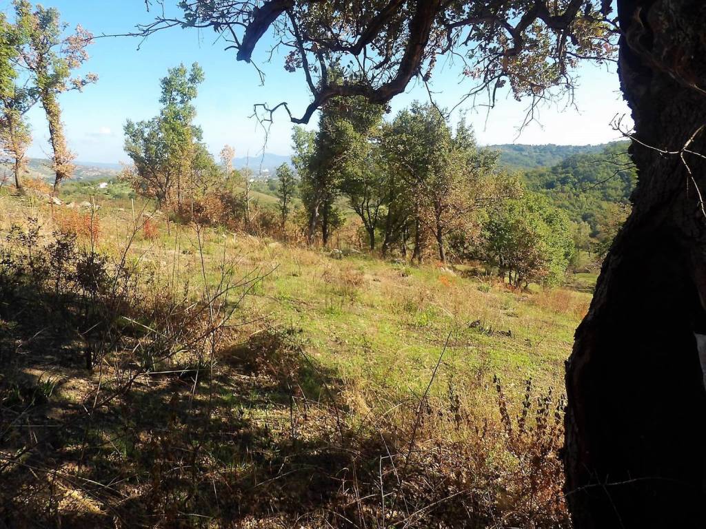 Terreno a Minturno in Pulcherini - Foto 4