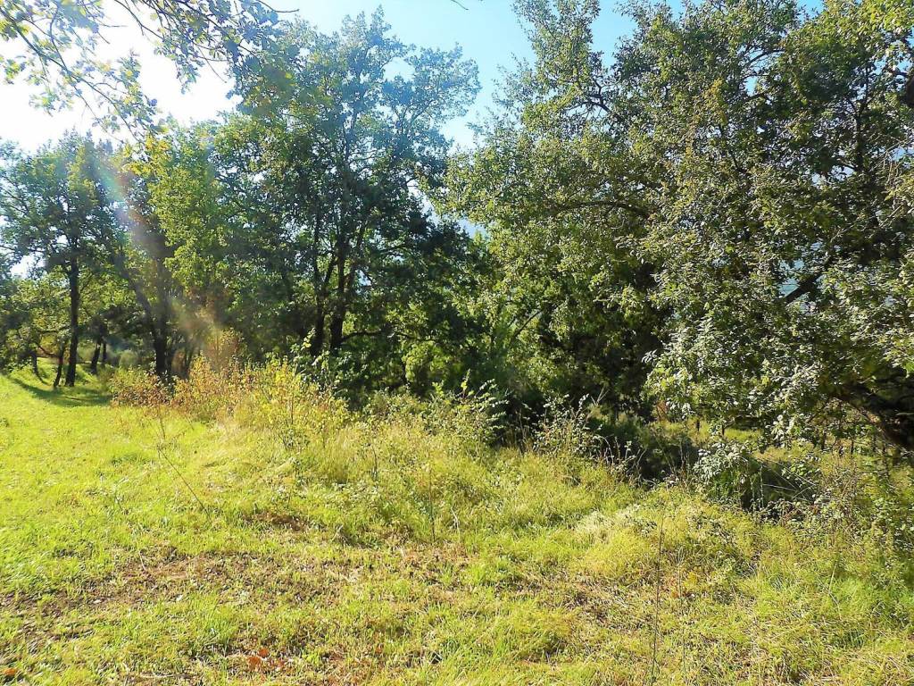 Terreno a Minturno in Pulcherini - Foto 5