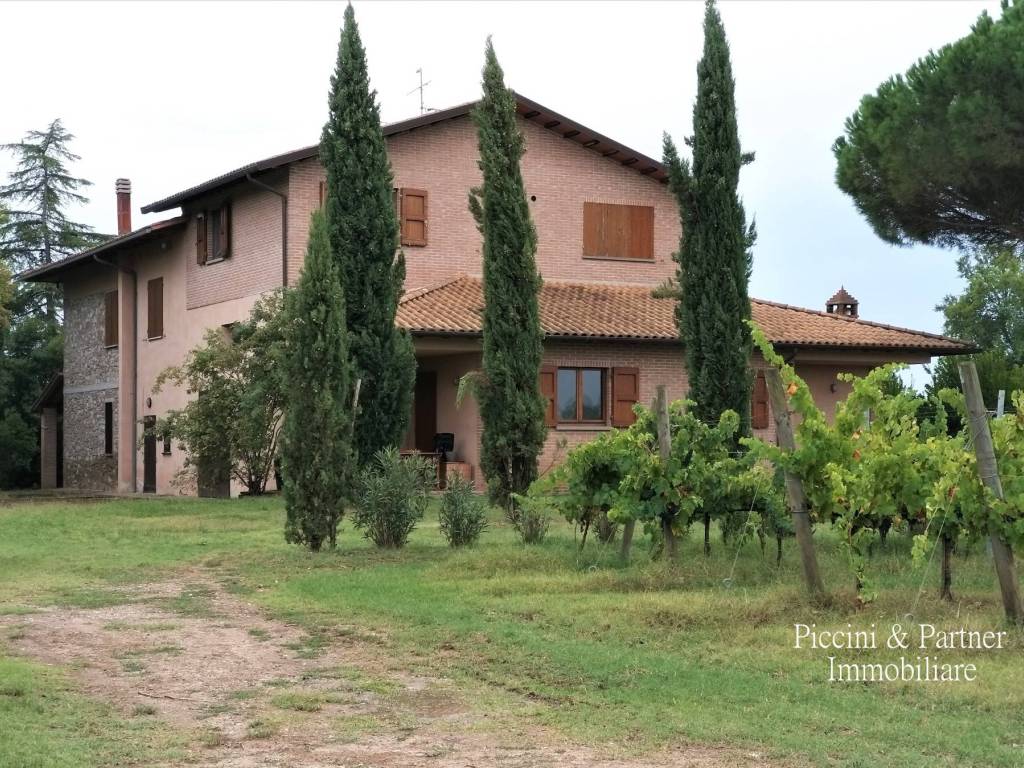 Rustico / casale a Castiglione del lago in Località Croce - Foto 4