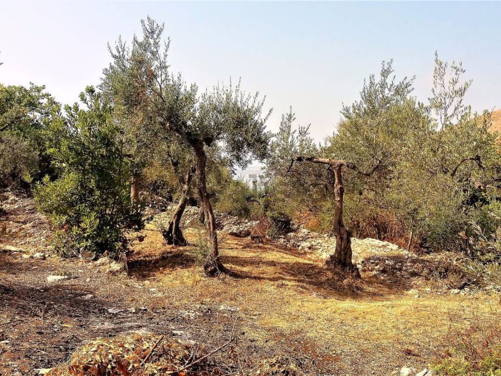 Terreno a Formia in Via Santa Maria La Noce - Foto 4