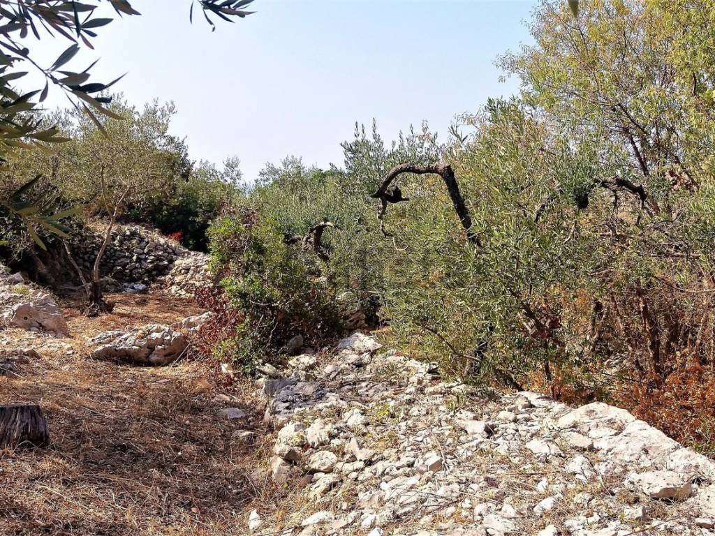 Terreno a Formia in Via Santa Maria La Noce - Foto 5