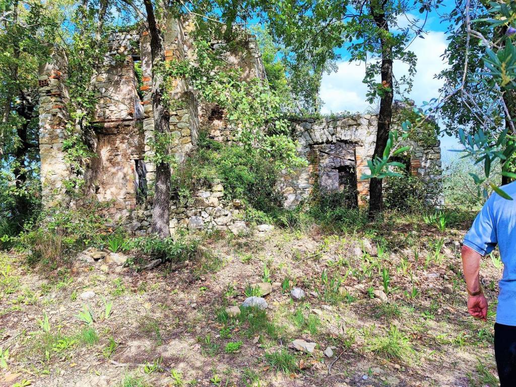 Rustico / casale a Santi cosma e damiano in Via Ferrara - Foto 3