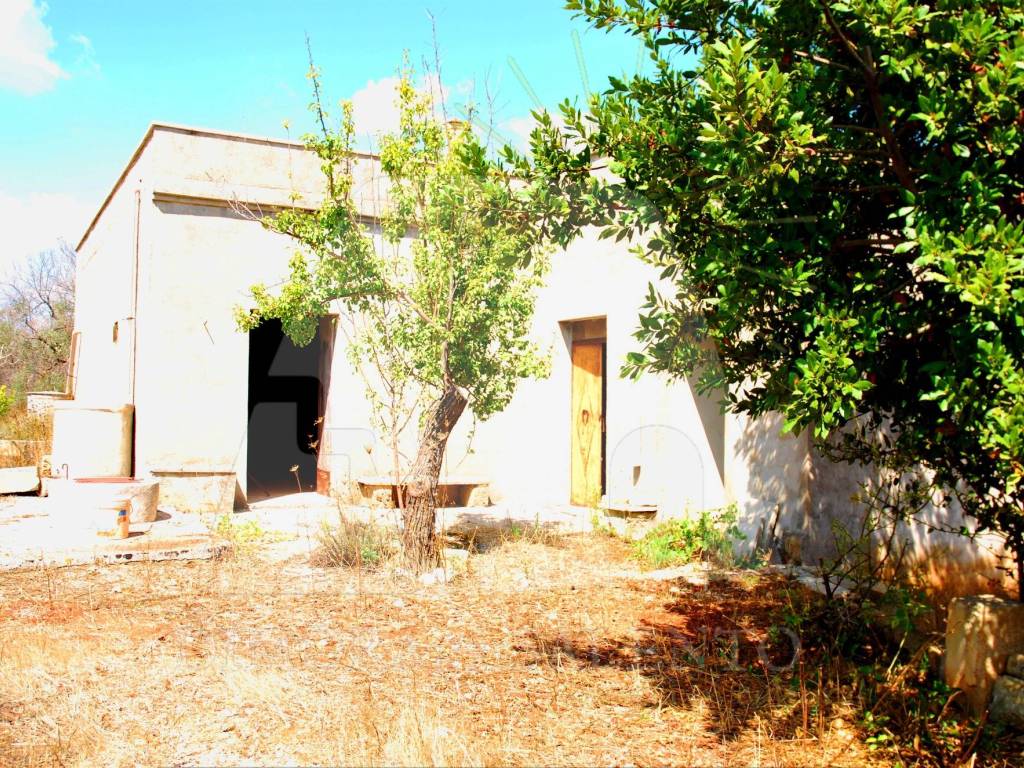 Terreno a Morciano di leuca in Strada Vicinale Cariddi - Foto 3