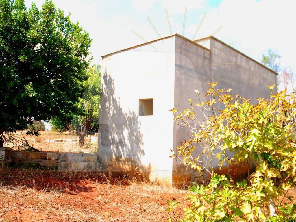Terreno a Morciano di leuca in Strada Vicinale Cariddi - Foto 4