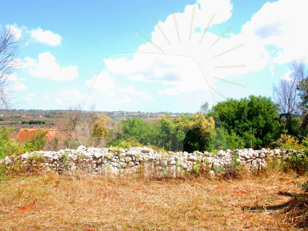 Terreno a Morciano di leuca in Strada Vicinale Cariddi - Foto 5