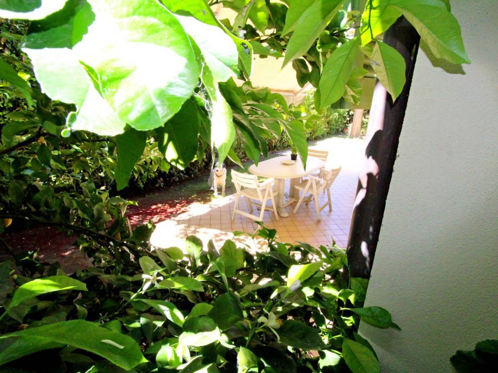 Villa a Pietrasanta in Via Basilicata - Foto 4
