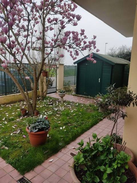 Villetta a schiera a Papozze in PAPOZZE Via A. Moro, 0 - Foto 3
