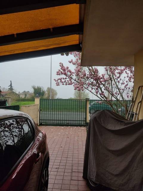 Villetta a schiera a Papozze in PAPOZZE Via A. Moro, 0 - Foto 4