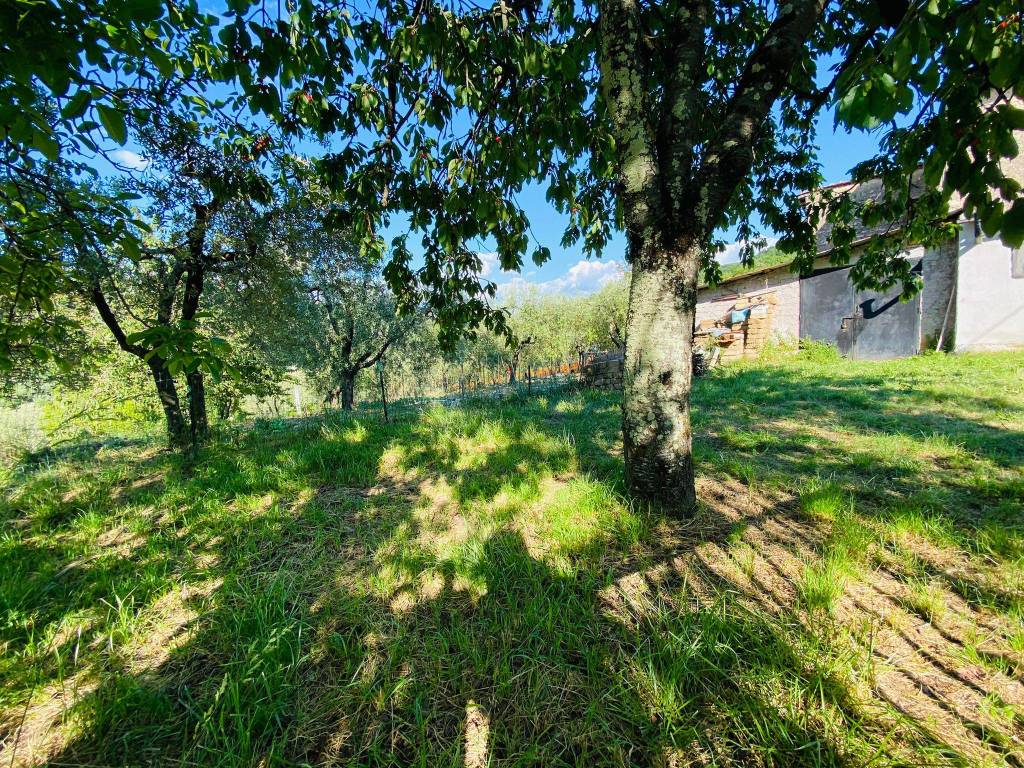Terreno a Poggio nativo in Via Fontanelle - Foto 5
