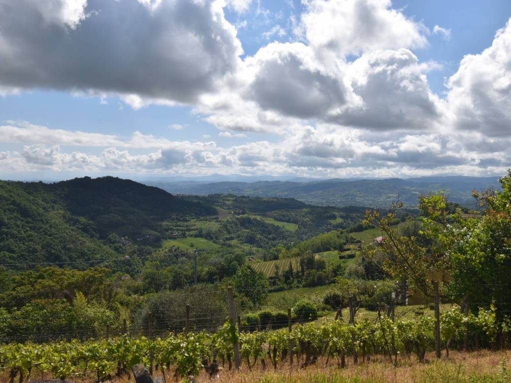 Villa a Bistagno in Regione Roncogennaro - Foto 2