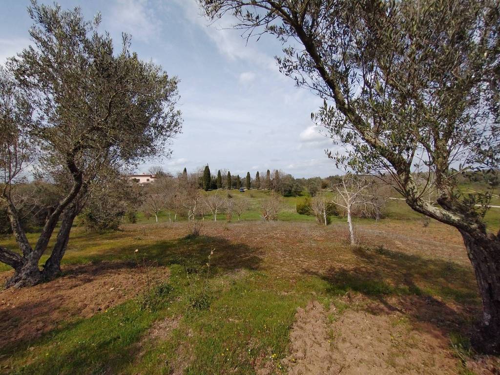 Terreno a Vetralla in Località Dogane - Foto 4