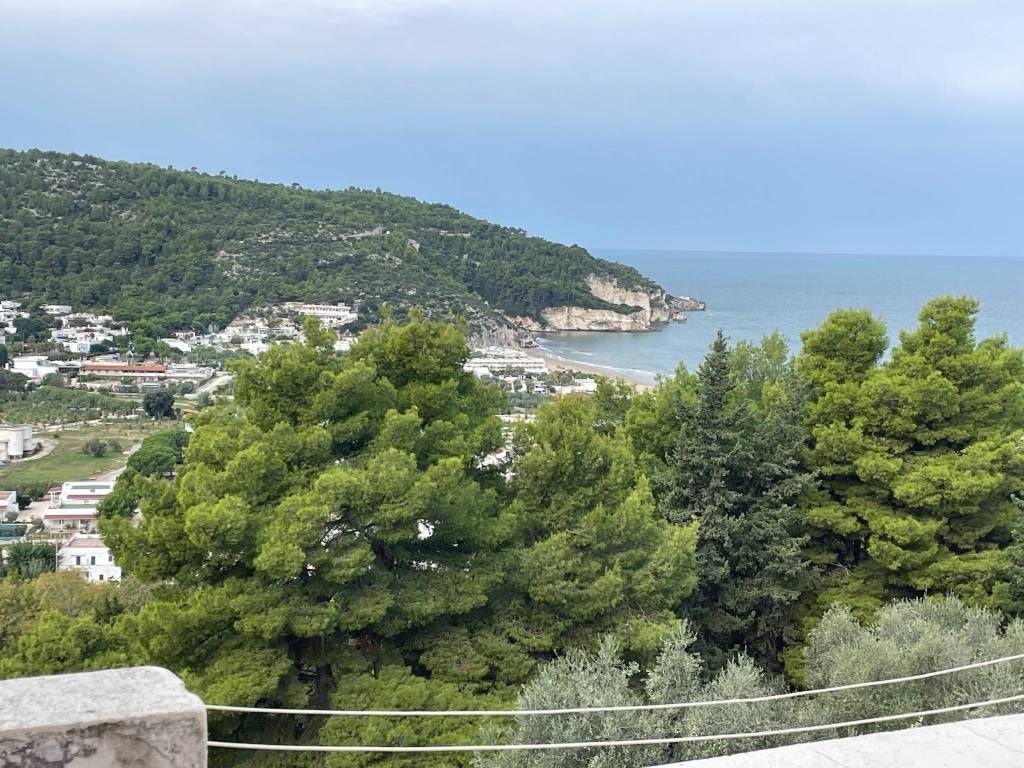 Palazzo / stabile a Peschici in Corso Camillo Benso di Cavour, 18 - Foto 3