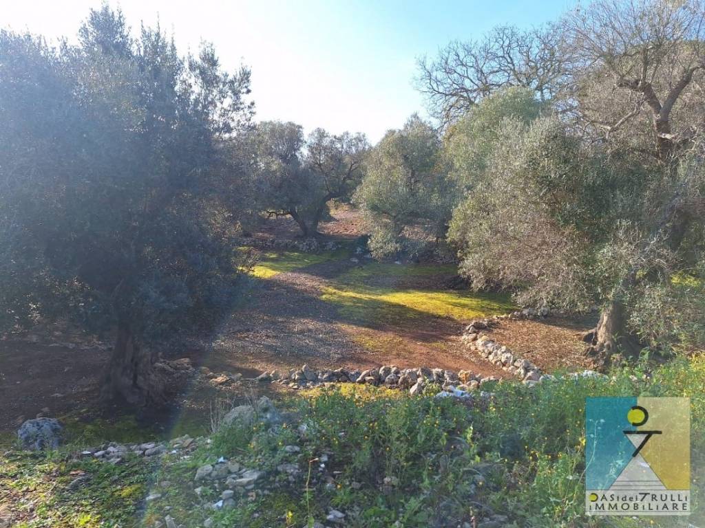 Terreno a San michele salentino in Via San Michele Arcangelo - Foto 2
