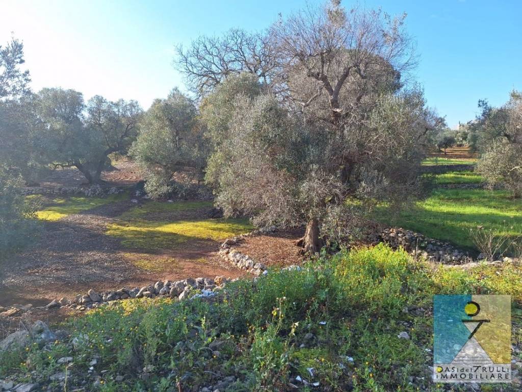 Terreno a San michele salentino in Via San Michele Arcangelo - Foto 3