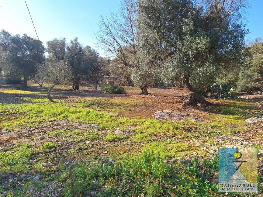 Terreno a San michele salentino in Via San Michele Arcangelo - Foto 4
