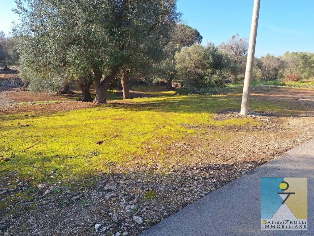 Terreno a San michele salentino in Via San Michele Arcangelo - Foto 5