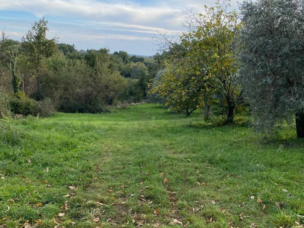Immobile a Pitigliano - Foto 3