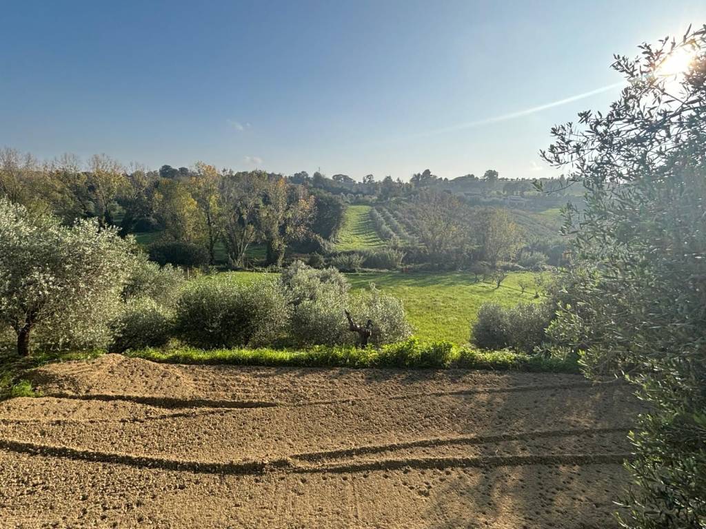 Rustico / casale a Sant'elpidio a mare in Strada Elpidiense - Foto 3