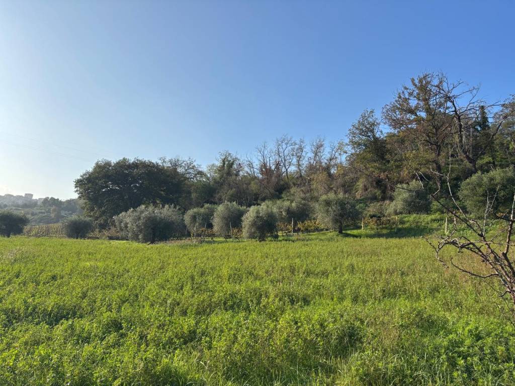 Rustico / casale a Sant'elpidio a mare in Strada Elpidiense - Foto 5