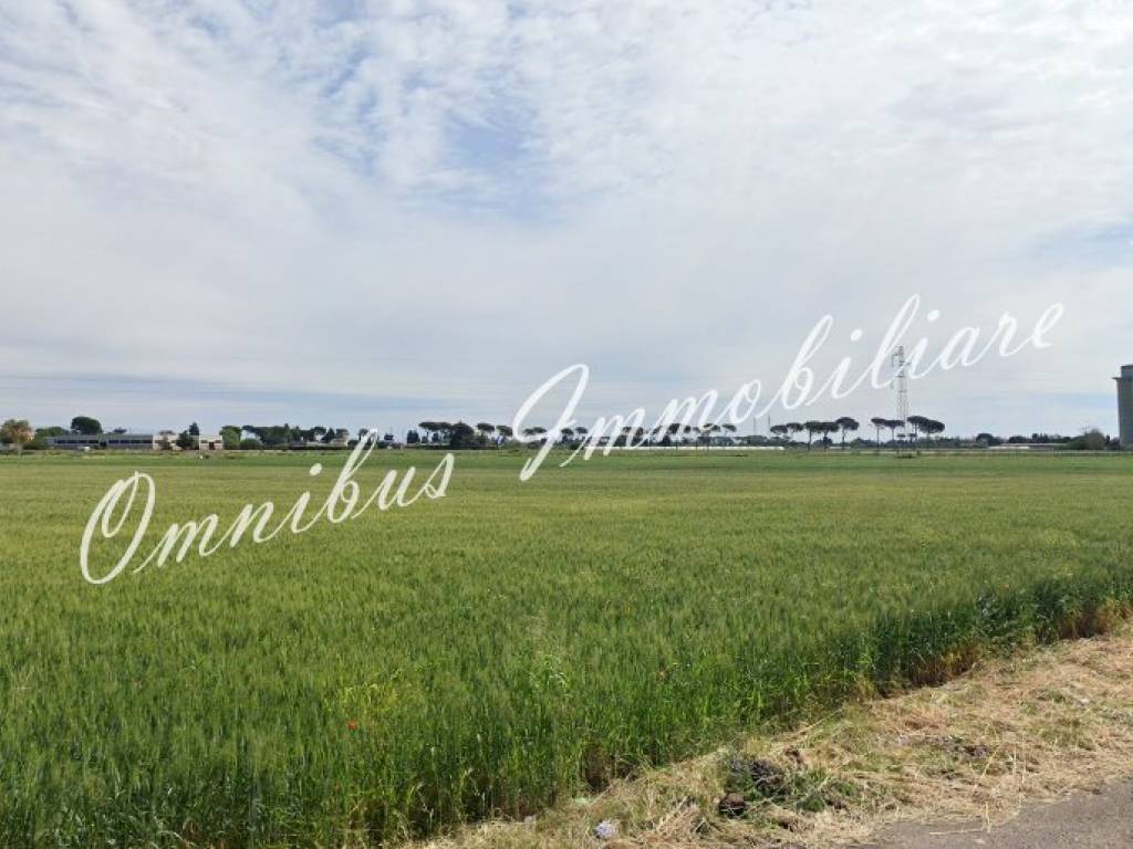 Terreno a Foggia in Via Trinitapoli - Foto 3