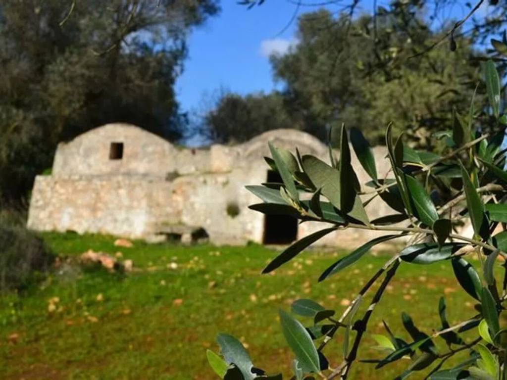 Rustico / casale a San michele salentino in Campagna - Foto 2