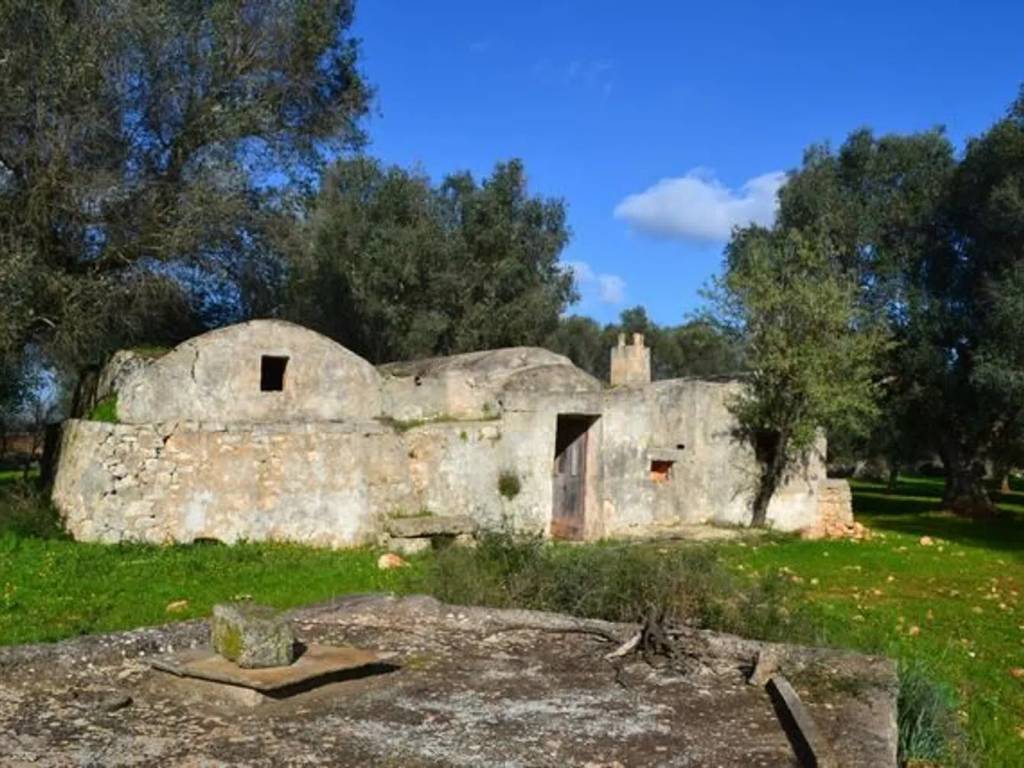 Rustico / casale a San michele salentino in Campagna - Foto 4