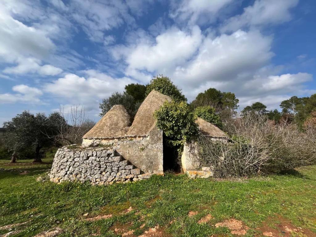 Rustico / casale a Ceglie messapica in Contrada Ulmo - Foto 2