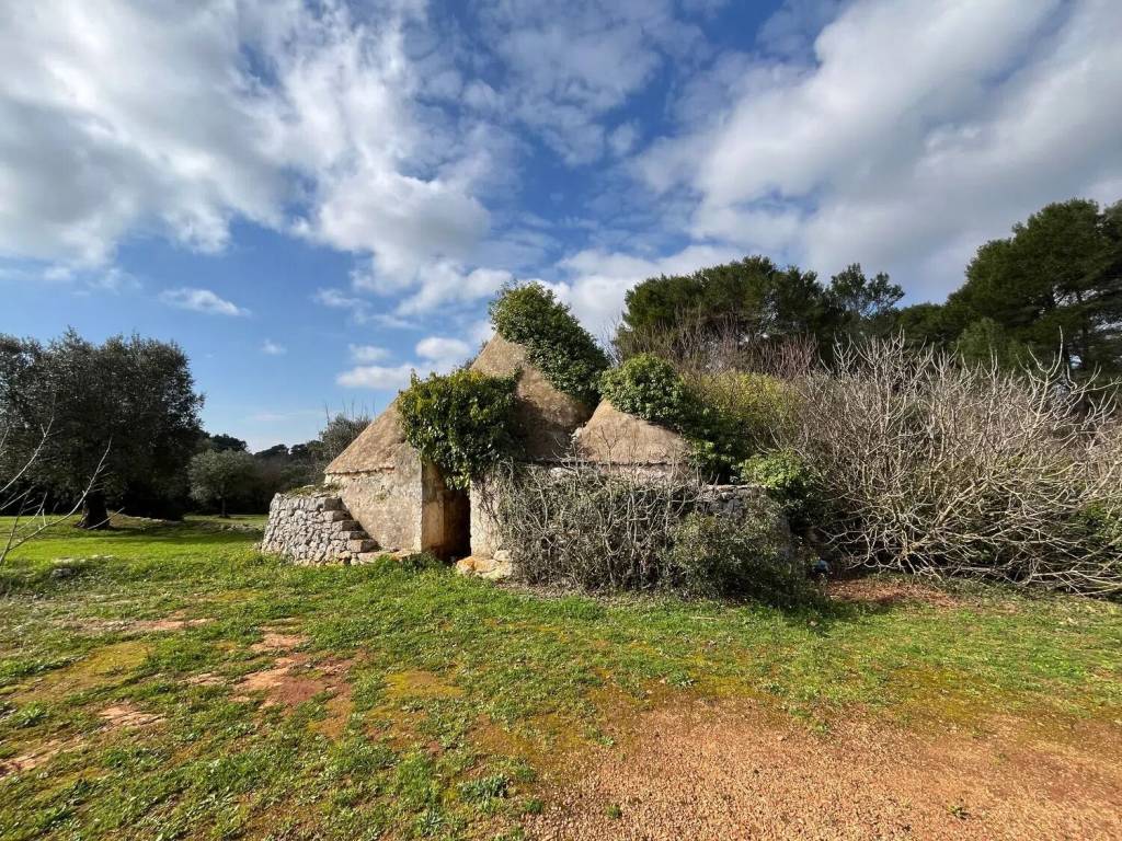 Rustico / casale a Ceglie messapica in Contrada Ulmo - Foto 3