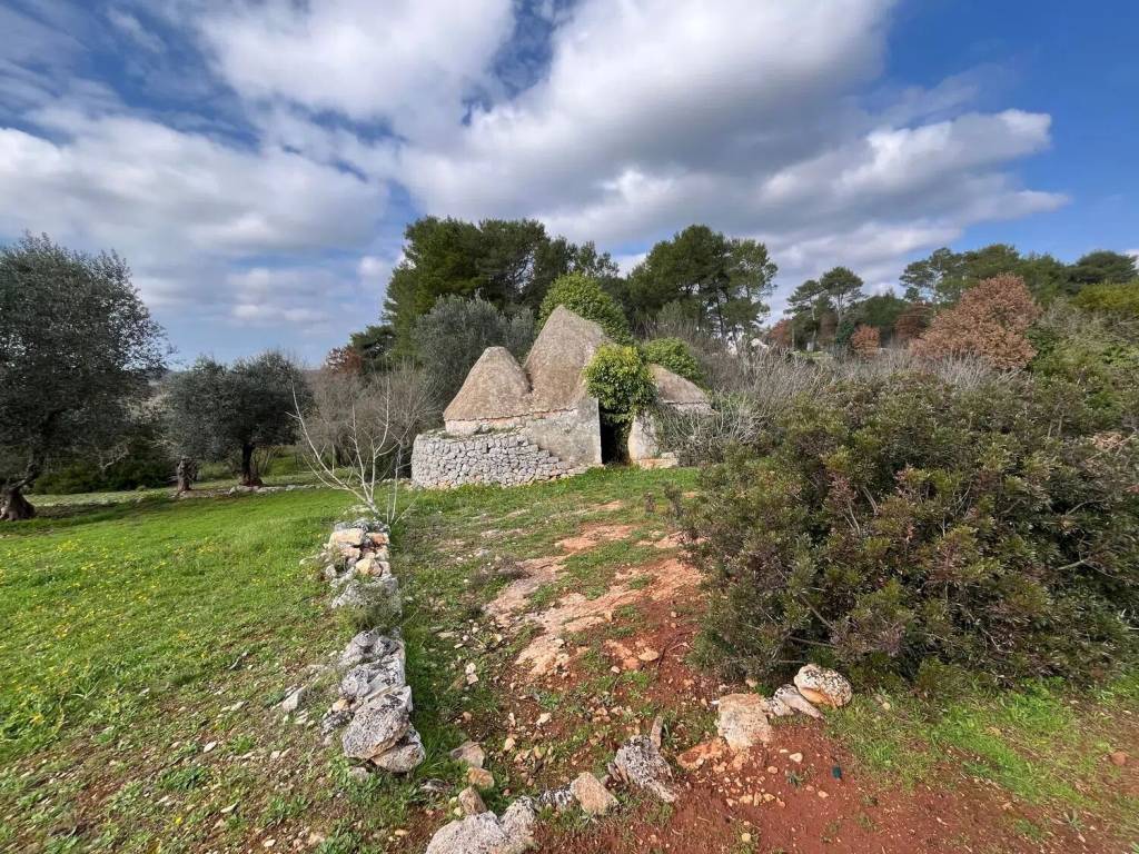 Rustico / casale a Ceglie messapica in Contrada Ulmo - Foto 4