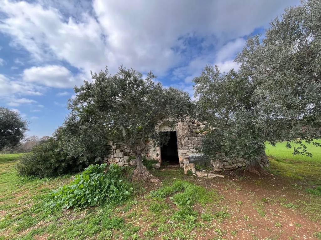 Rustico / casale a Ceglie messapica in Contrada Ulmo - Foto 5