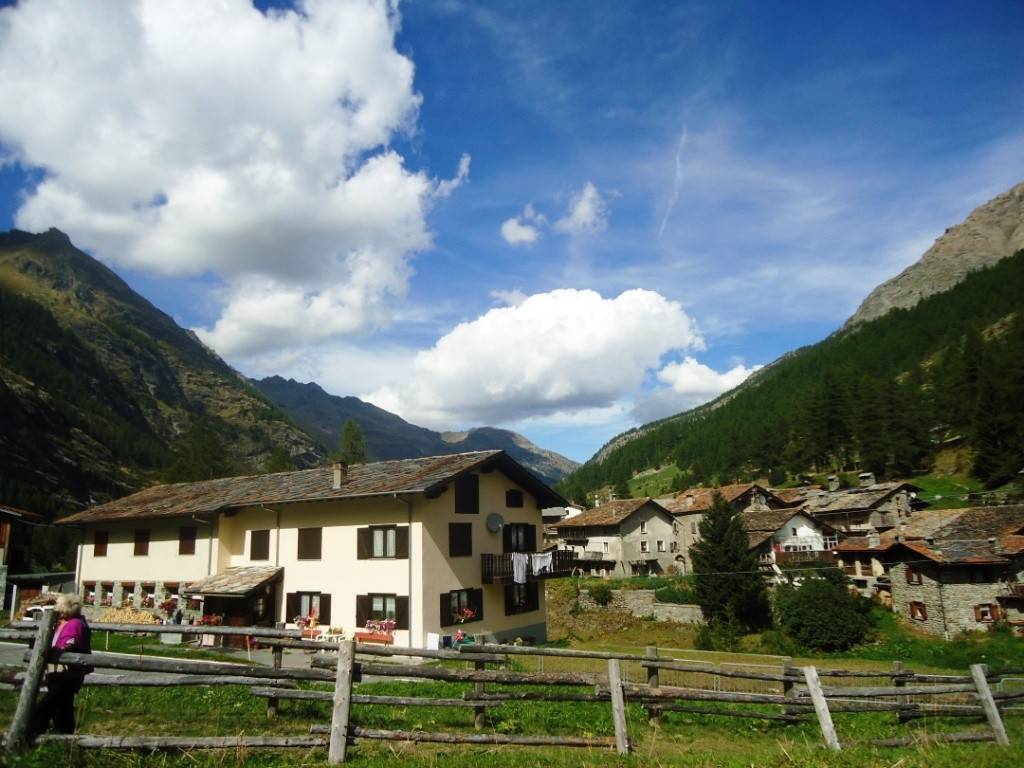 Terreno a Valgrisenche - Foto 4