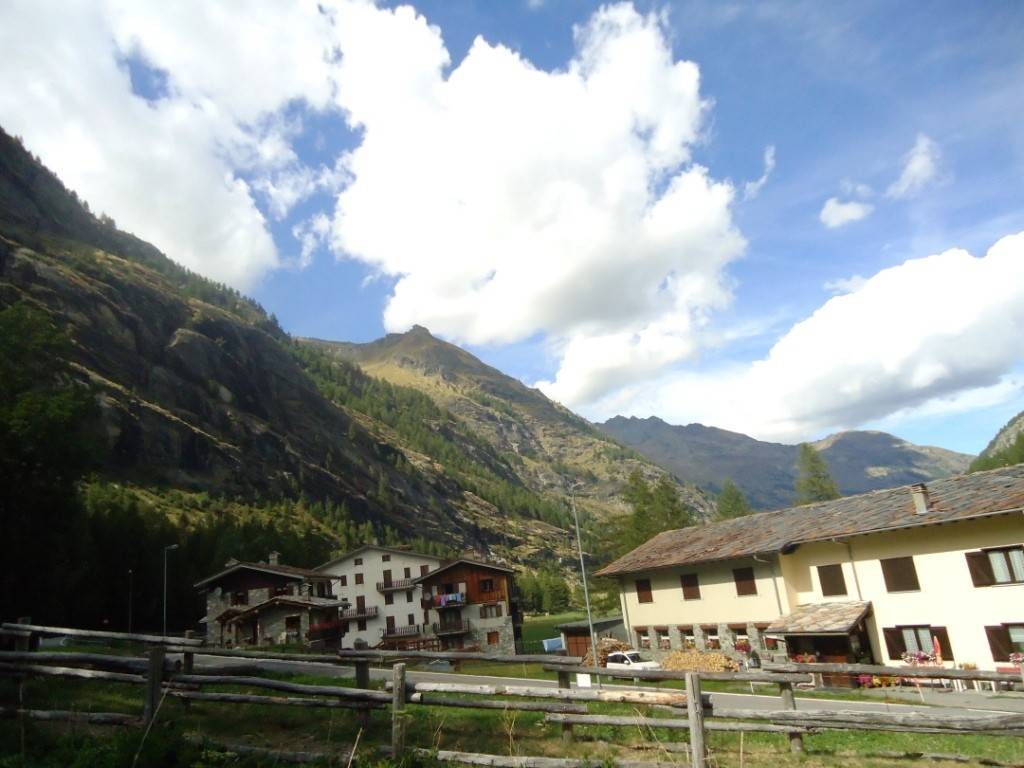 Terreno a Valgrisenche - Foto 5