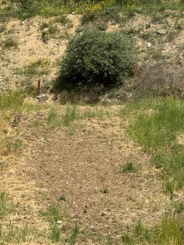 Terreno a Foggia in Contrada Ponte Albanito - Foto 2