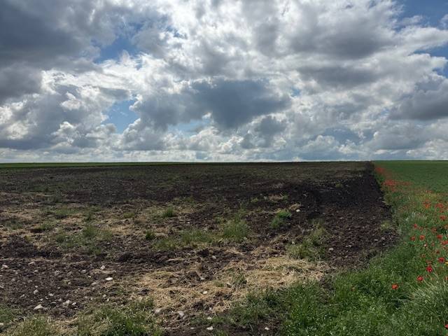 Terreno a Foggia in Contrada Ponte Albanito - Foto 4