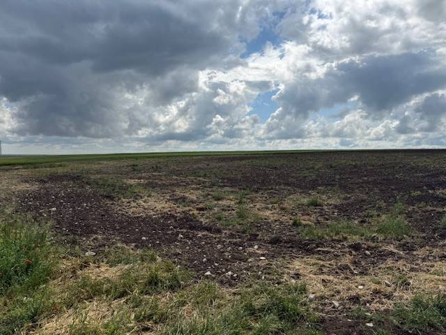 Terreno a Foggia in Contrada Ponte Albanito - Foto 5