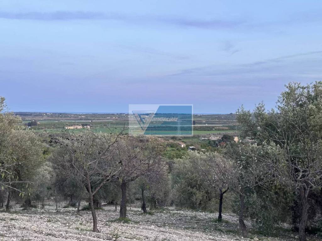 Terreno a Noto - Foto 2