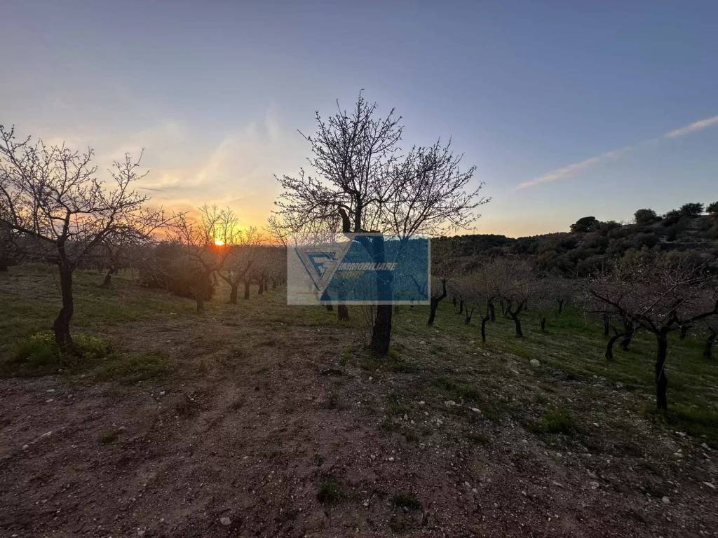 Terreno a Noto - Foto 4