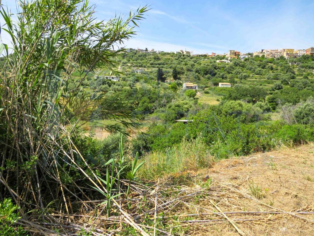 Terreno a Avola in Contrada Bella Pettinata - Foto 4