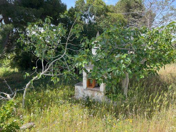 Villa a Ostuni in Contrada Salinola - Foto 2