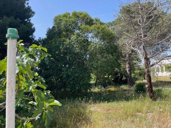 Villa a Ostuni in Contrada Salinola - Foto 3