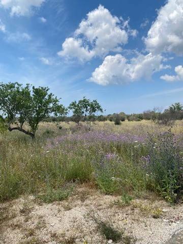 Terreno a Sannicola in CONTRADA CAMASTRA, 1 - Foto 3