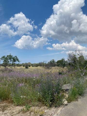 Terreno a Sannicola in CONTRADA CAMASTRA, 1 - Foto 4