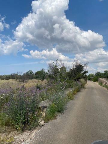 Terreno a Sannicola in CONTRADA CAMASTRA, 1 - Foto 5