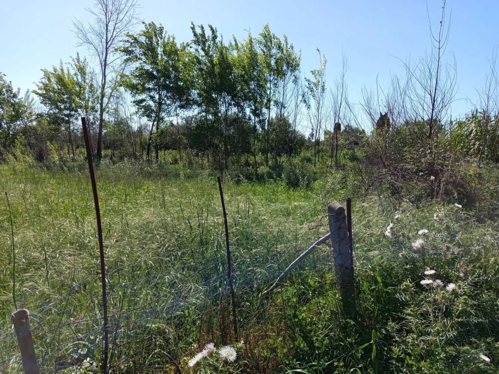 Terreno a Posada in Loc.Pispiseddu S.N.C. - Foto 3