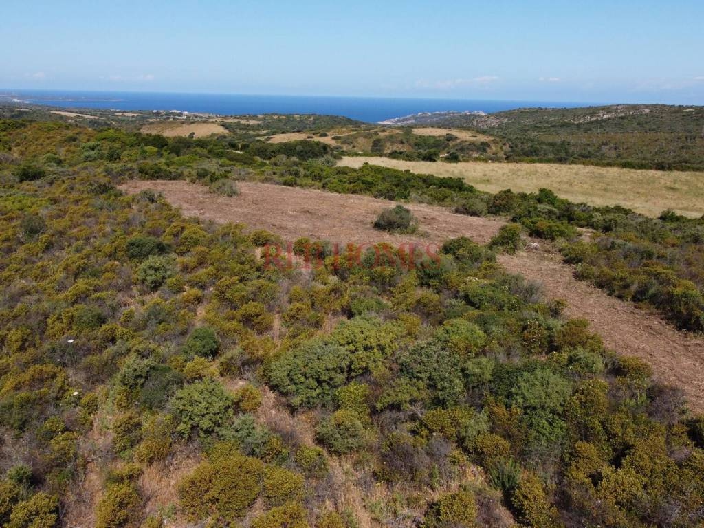 Terreno a Aglientu - Foto 3