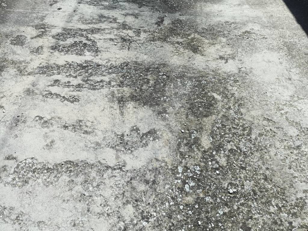 Appartamento a Lugo in Via Bizzuno, 17 - Foto 5
