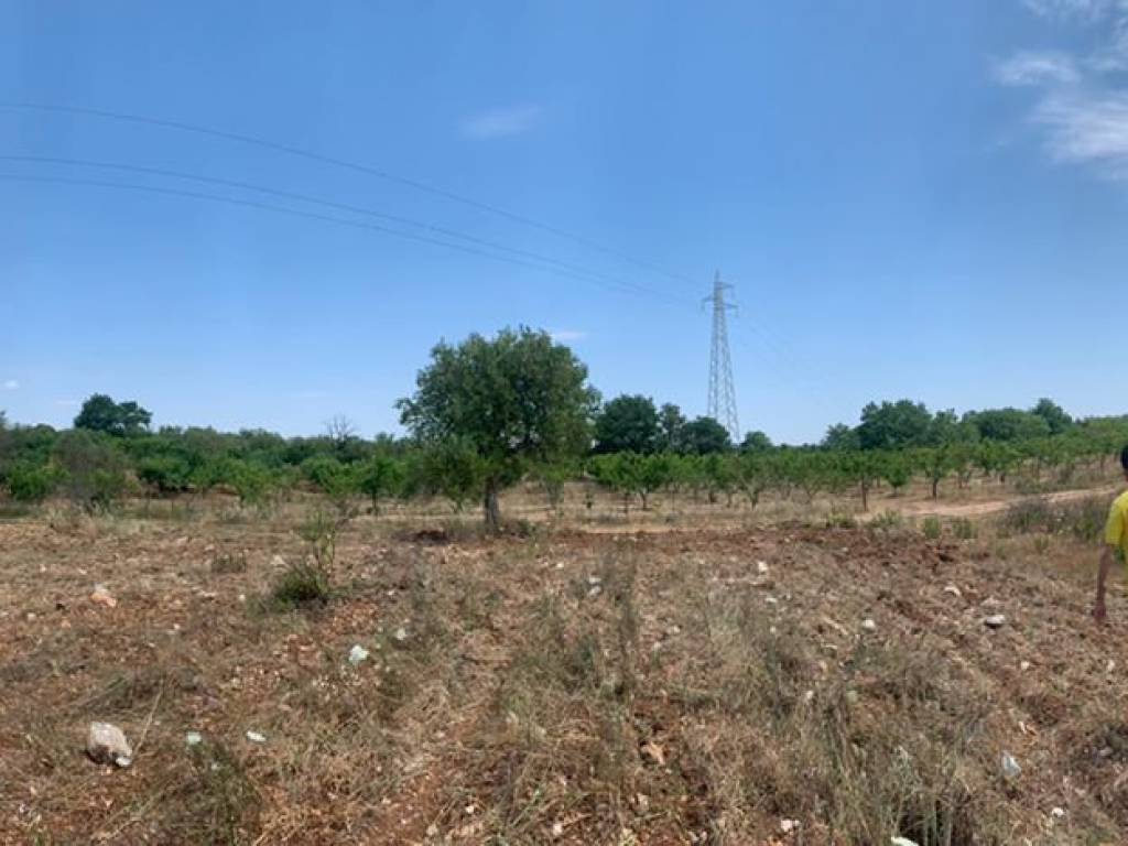 Terreno a Acquaviva delle fonti in Via Sannicandro - Foto 3