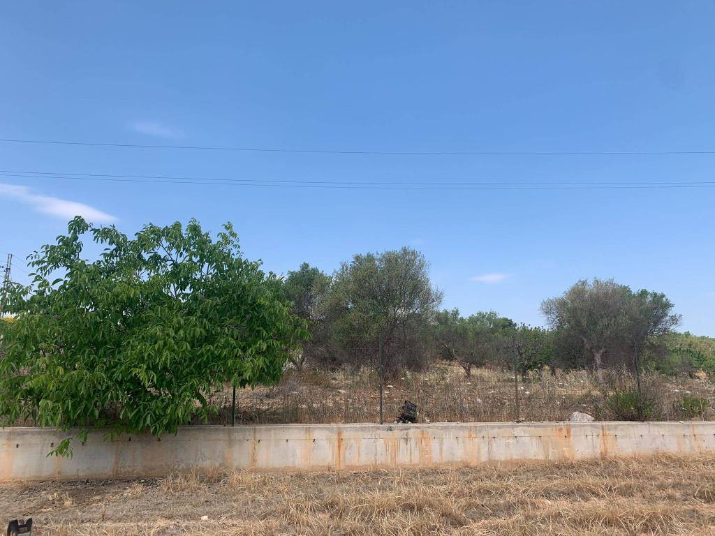 Terreno a Acquaviva delle fonti in Via Sannicandro - Foto 5